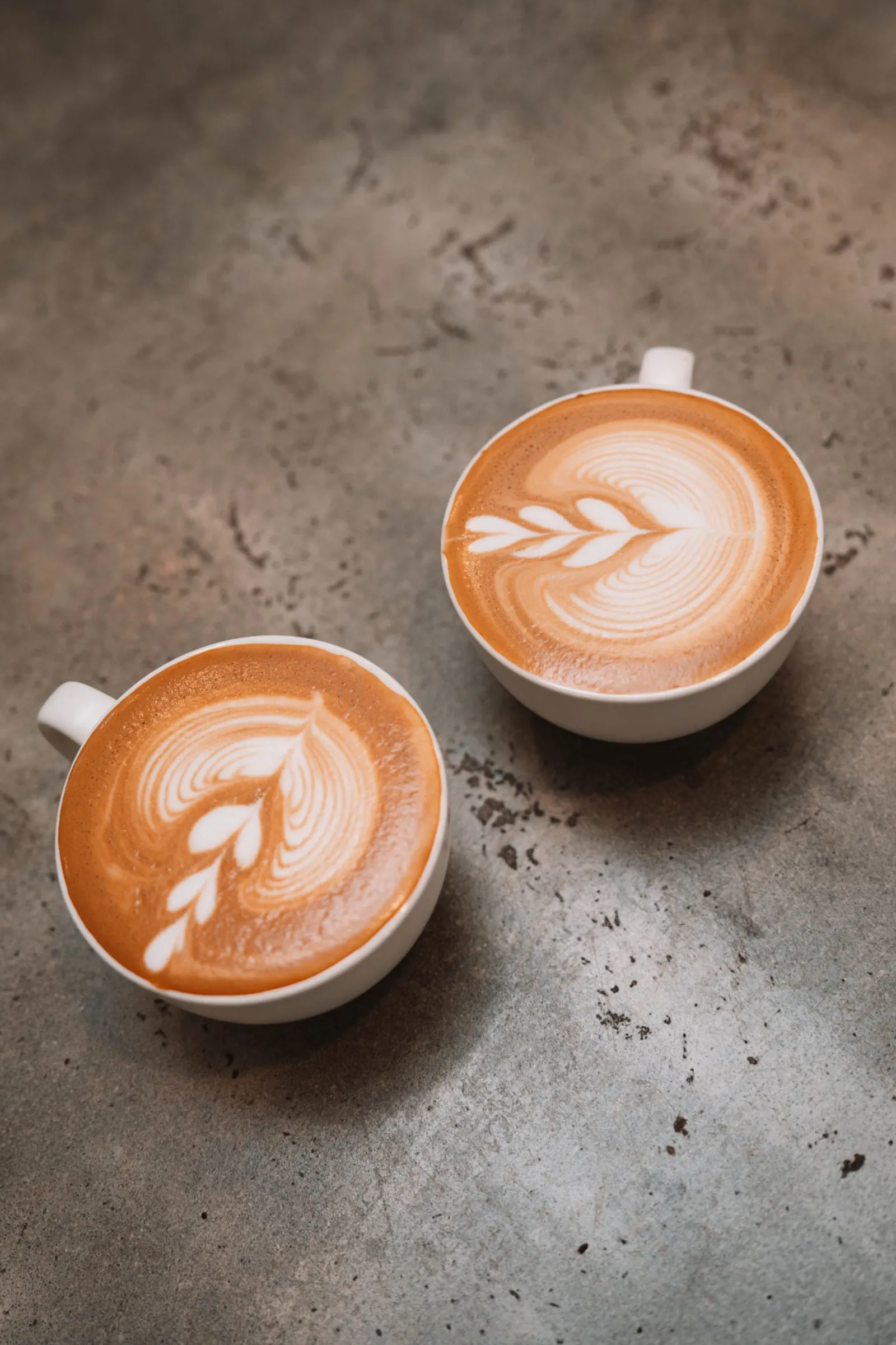 Two flat white coffees with leaf latte art on a dark stone surface